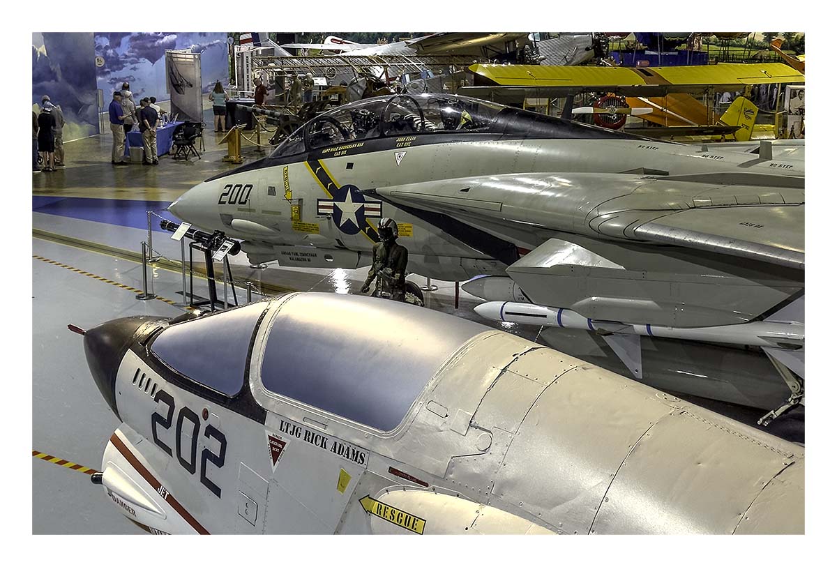 Air Zoo Mueum