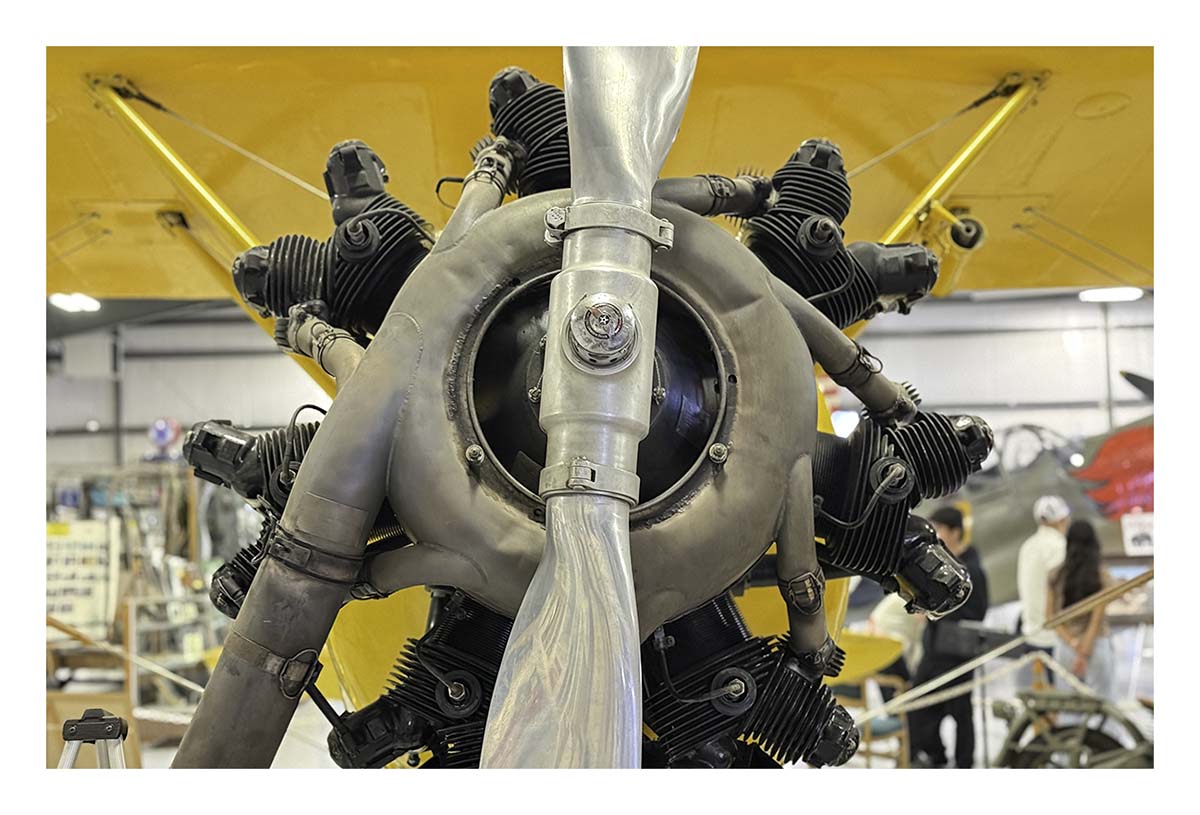 Warhawk Air Museum