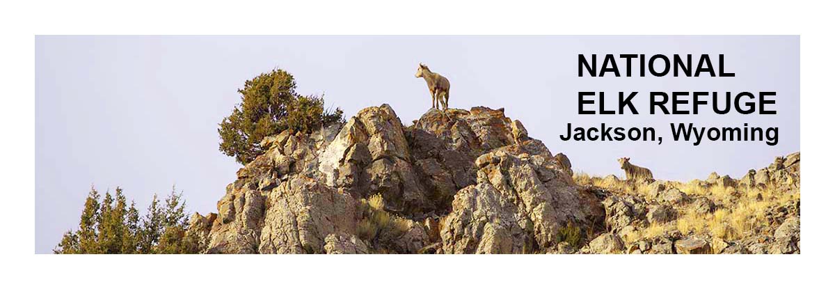 National Elk Refuge