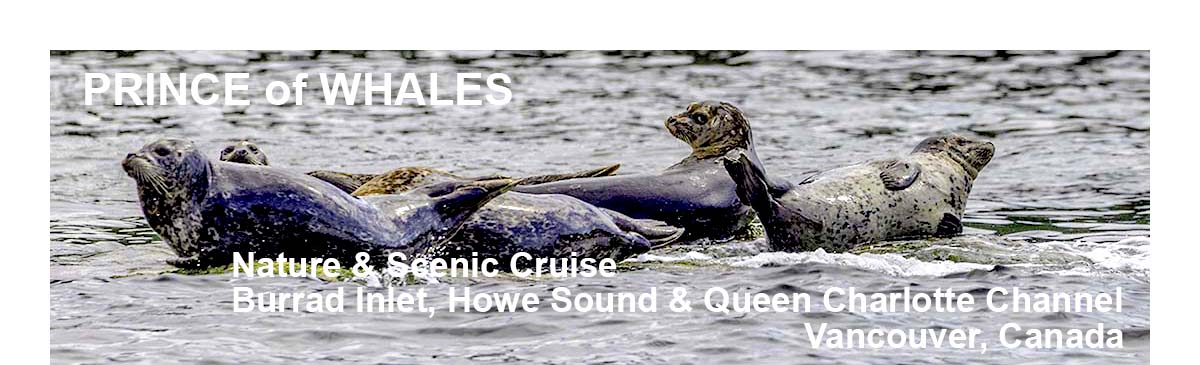 Prince of Whales