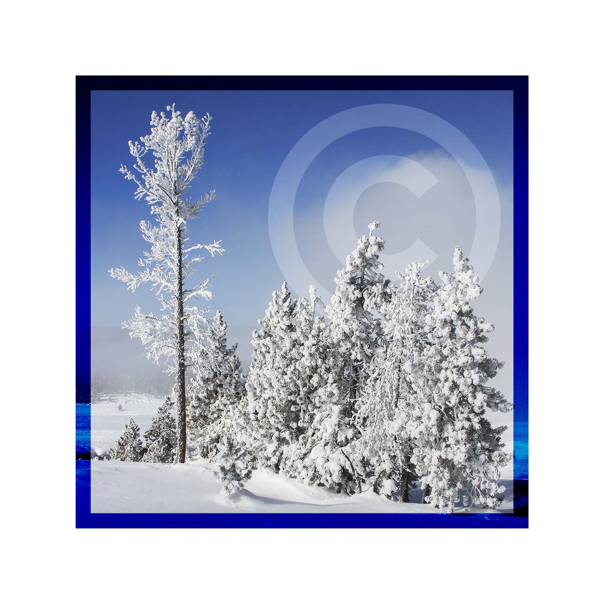 Winter in Tellowstone NP