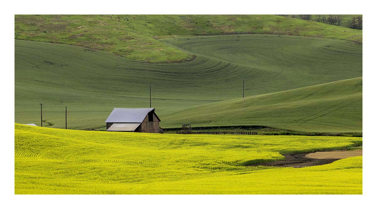 BCJ Spring in the Palouse