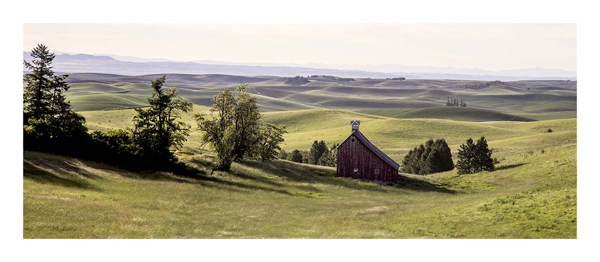 BCJ Spring in the Palouse