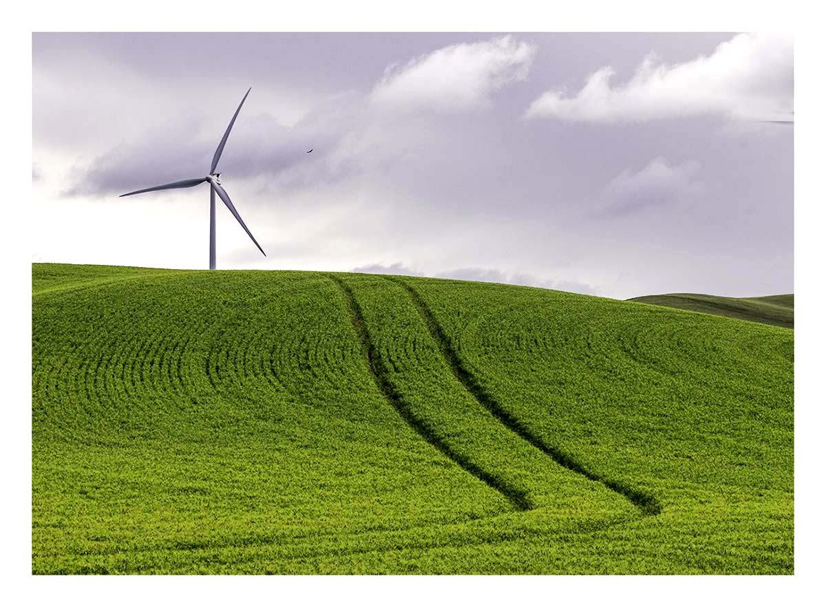 BCJ Spring in the Palouse