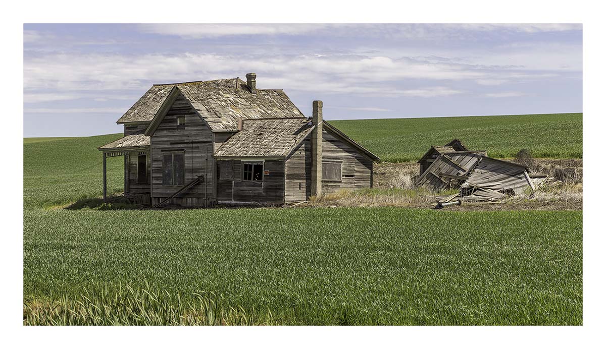 BCJ Spring in the Palouse