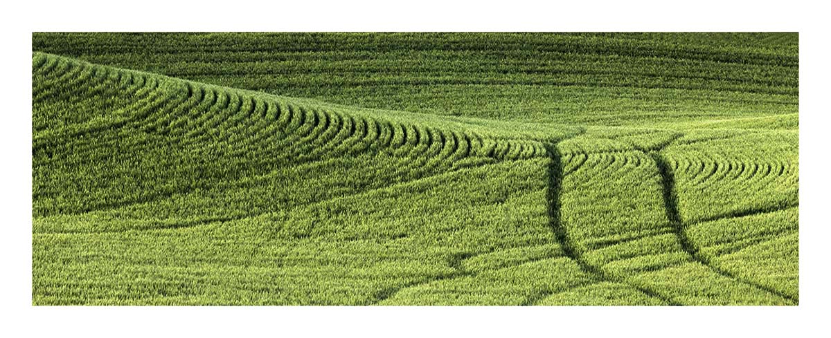 BCJ Spring in the Palouse