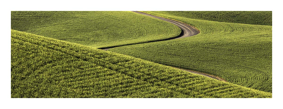 BCJ Spring in the Palouse