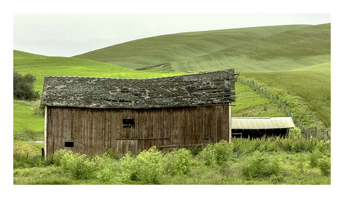 BCJ Spring in the Palouse