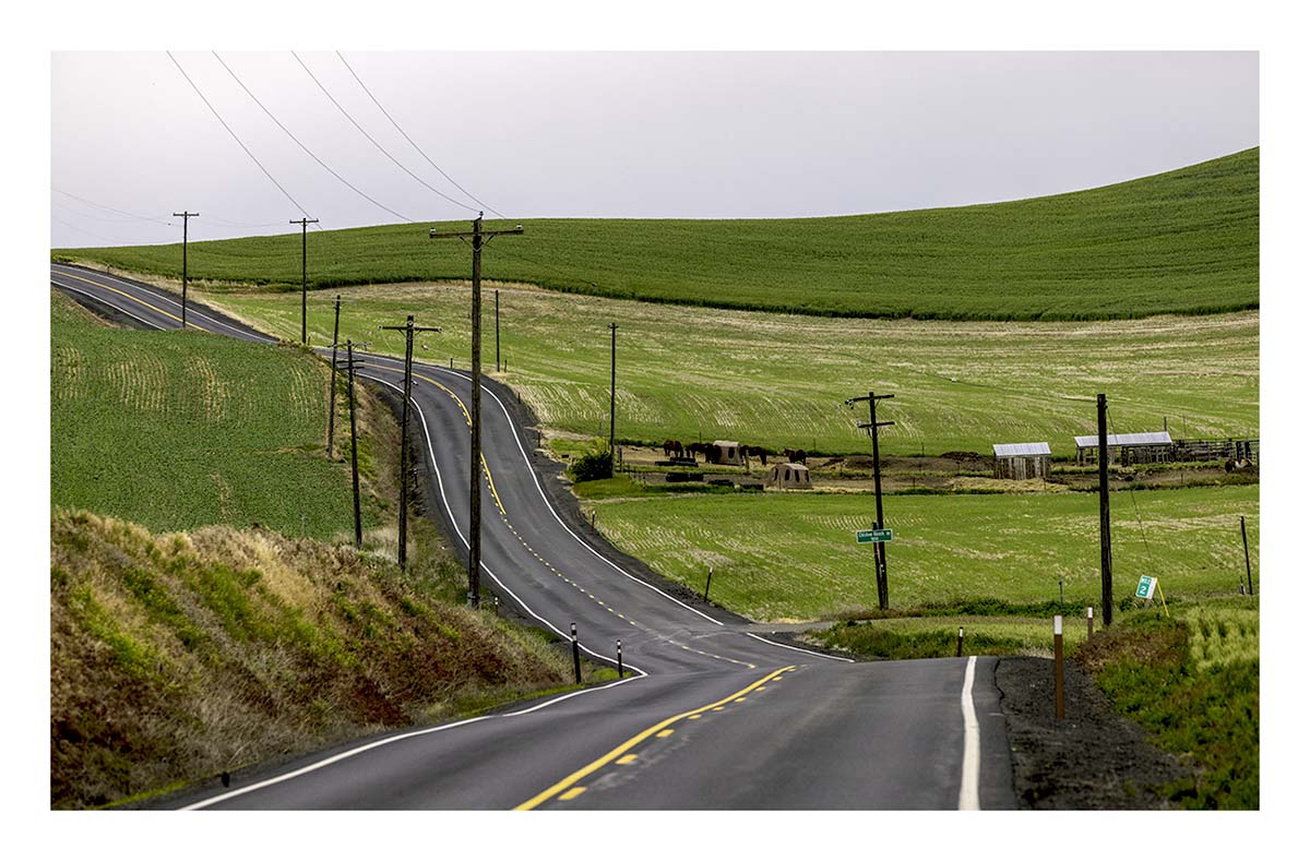 BCJ Spring in the Palouse