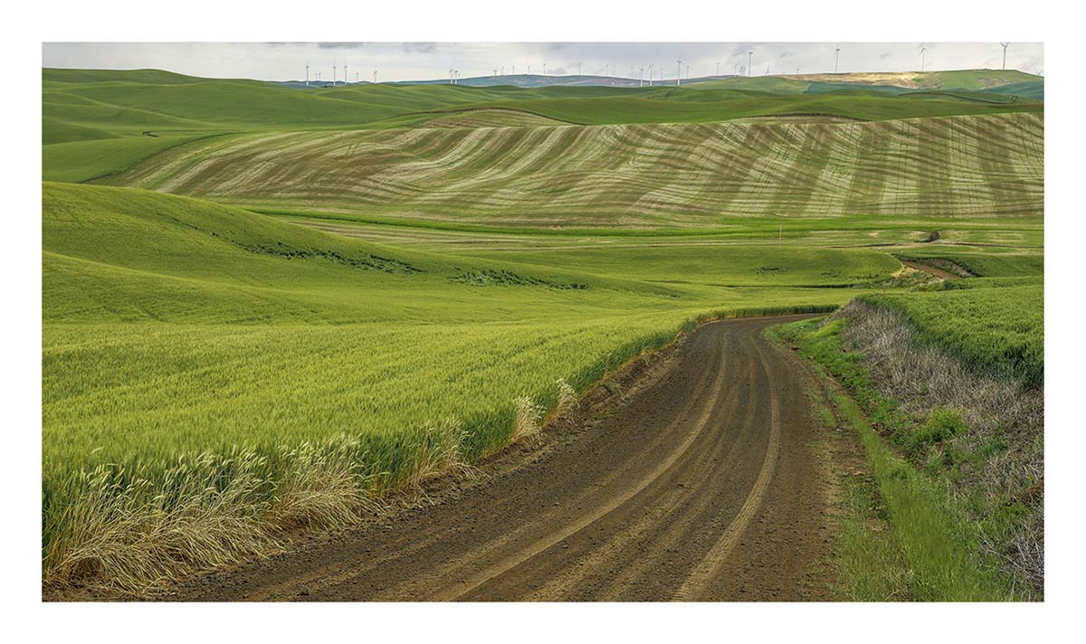 BCJ Spring in the Palouse