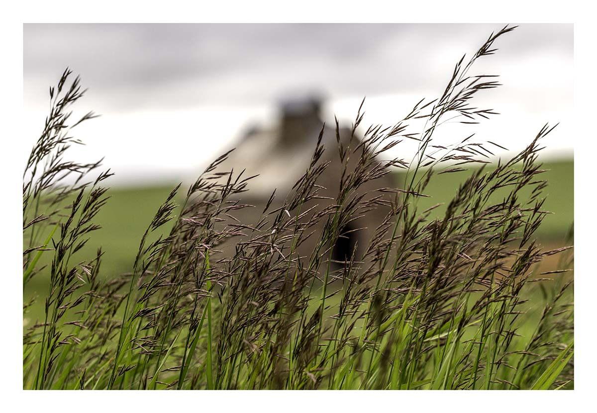 BCJ Spring in the Palouse