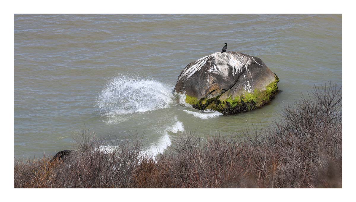 Marthas Vineyard