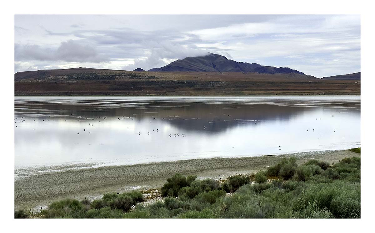 Antelope Island SP