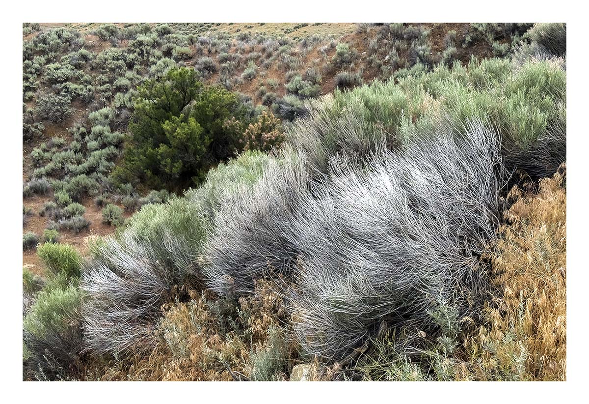 Antelope Island SP