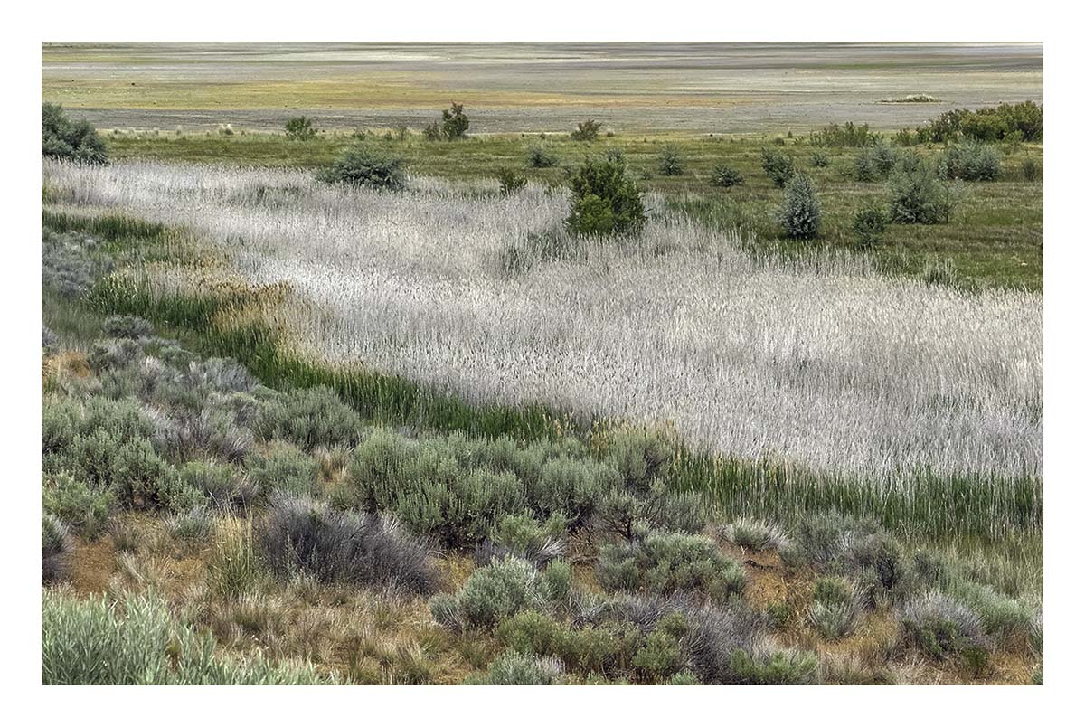 Antelope Island SP