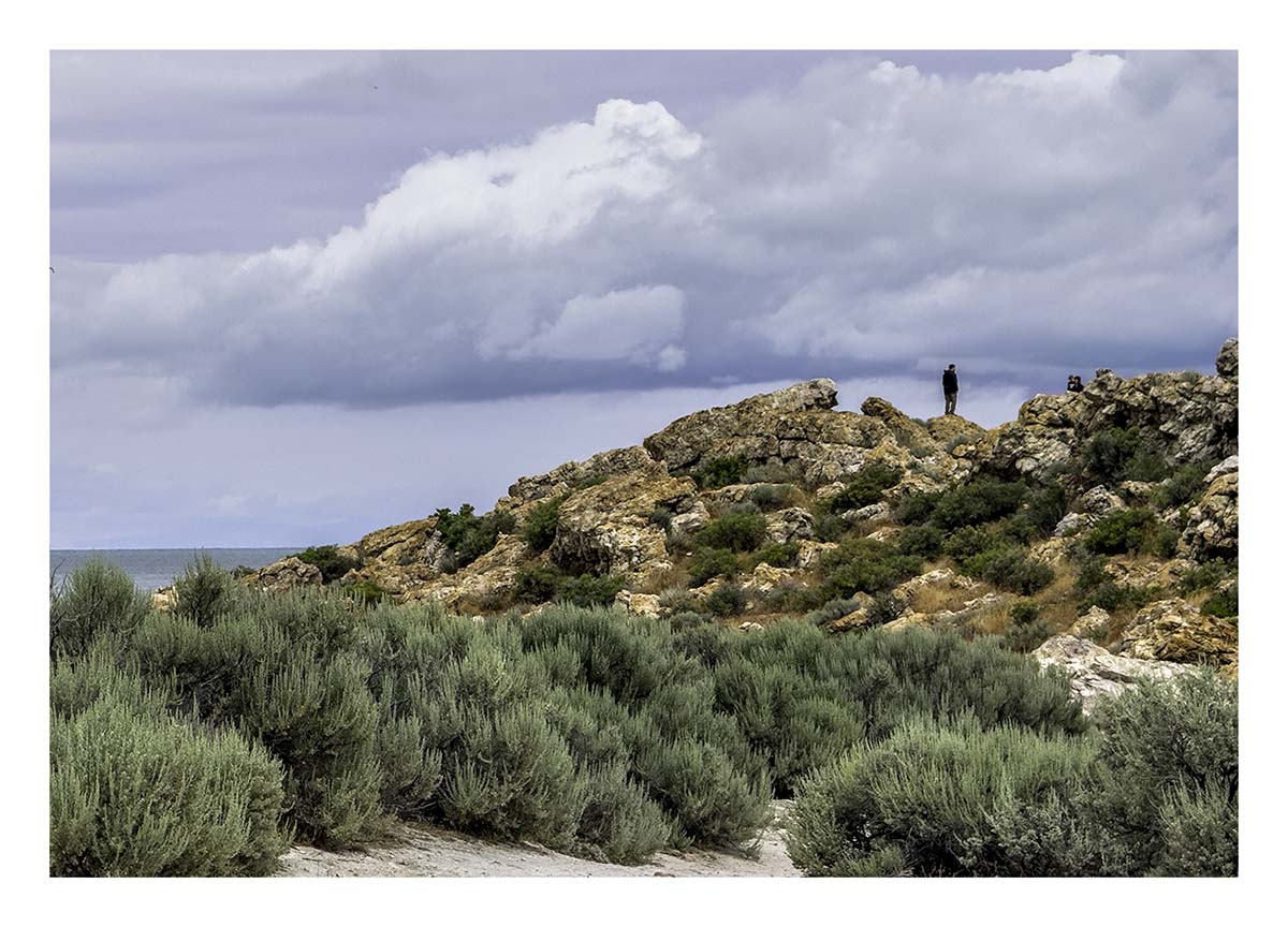 Antelope Island SP
