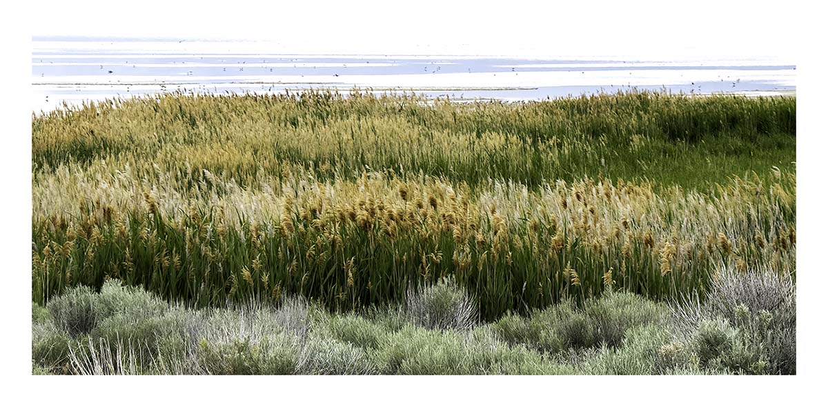 Antelope Island SP