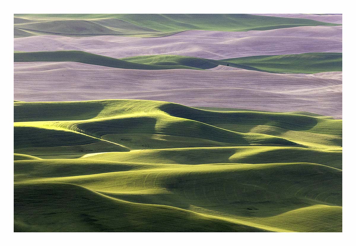 BCJ Spring in the Palouse