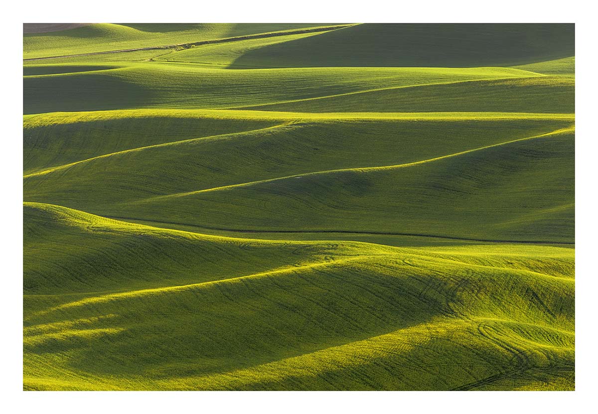 BCJ Spring in the Palouse
