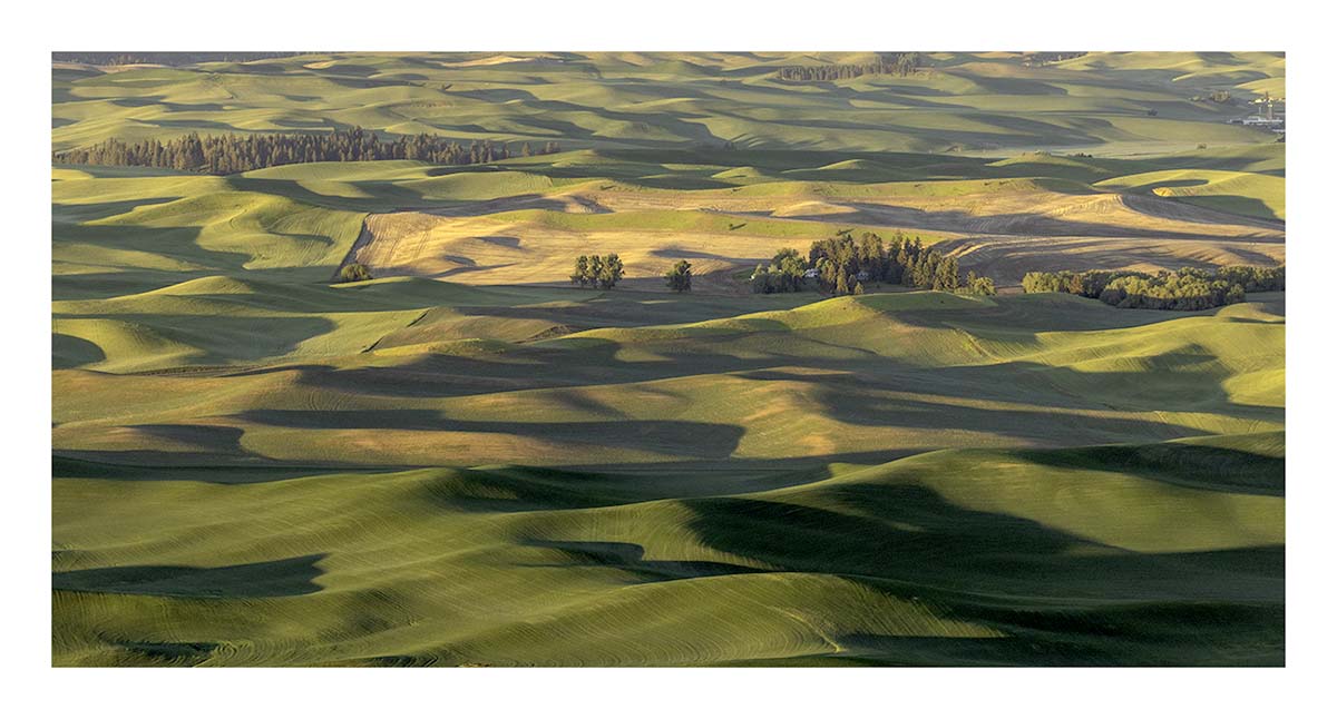 BCJ Spring in the Palouse