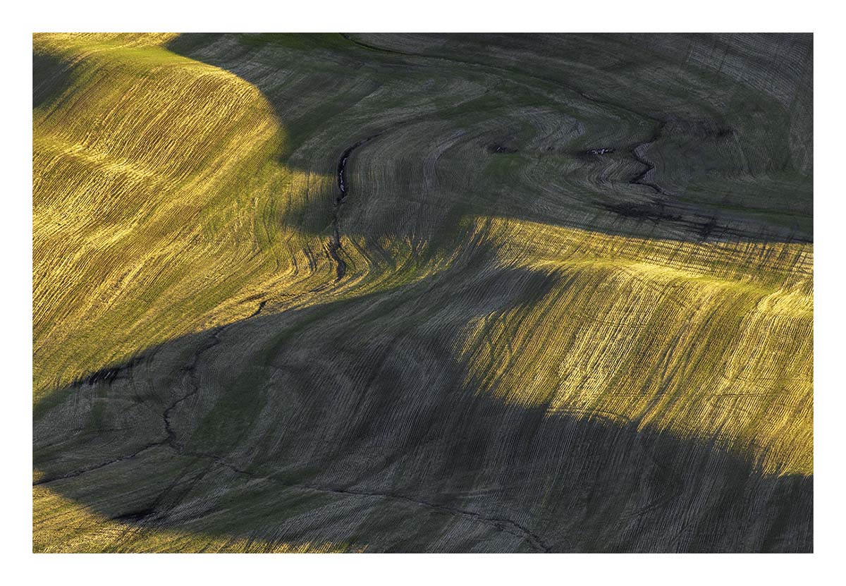 BCJ Spring in the Palouse