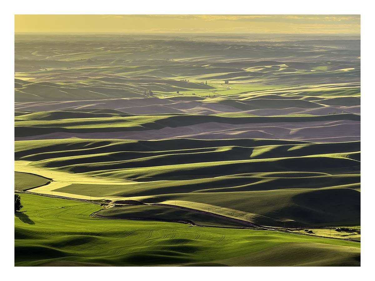 BCJ Spring in the Palouse