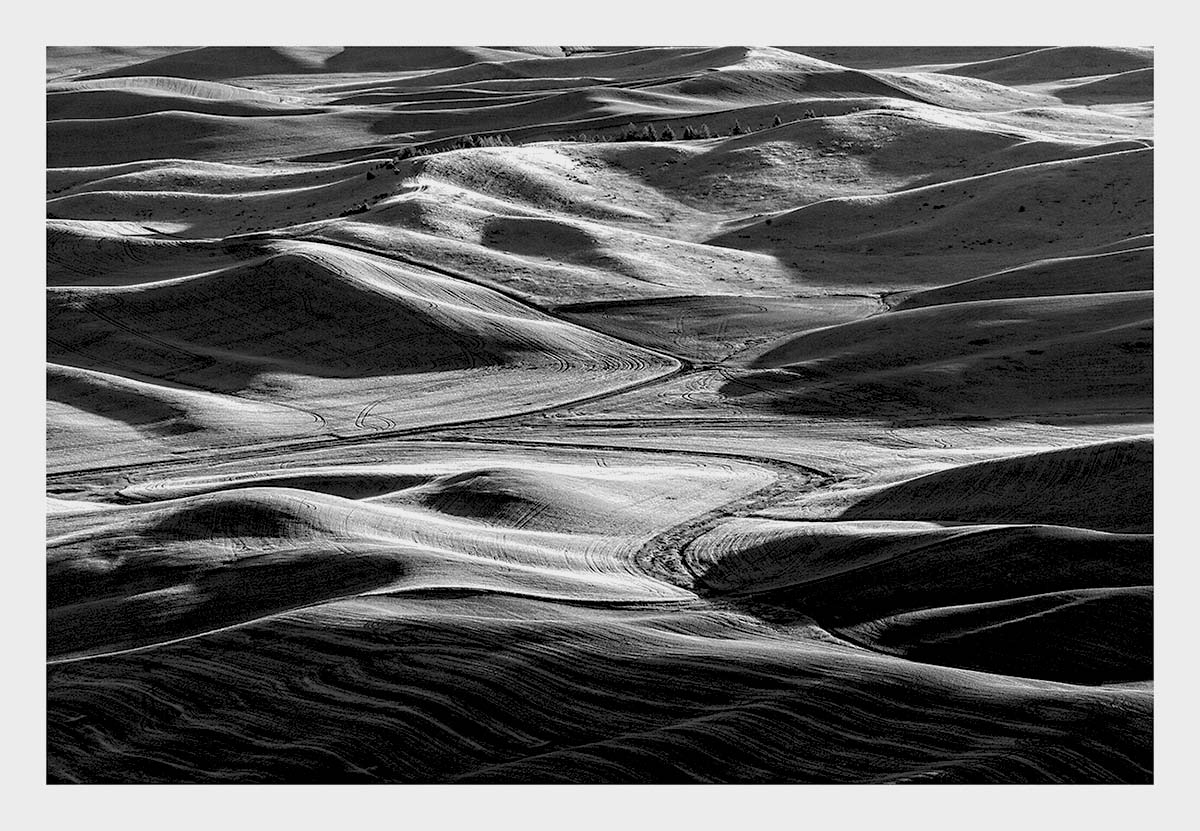 BCJ Spring in the Palouse
