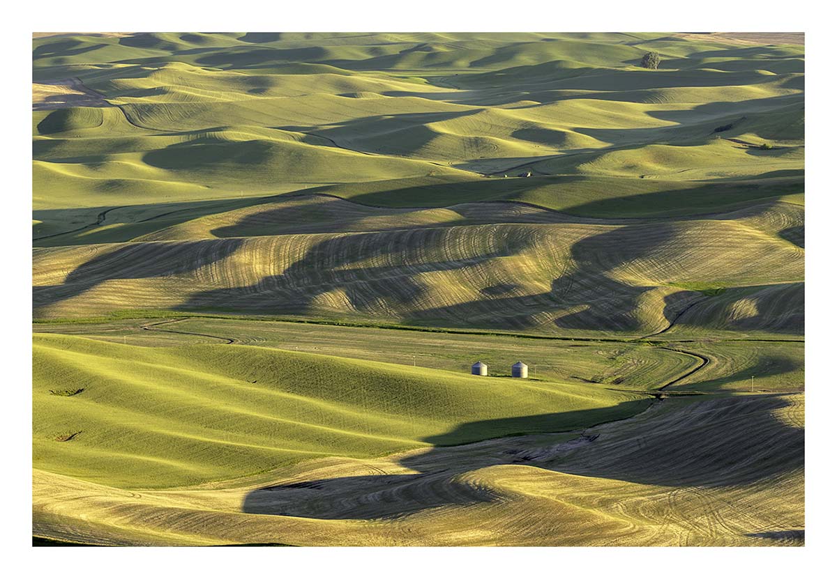 BCJ Spring in the Palouse