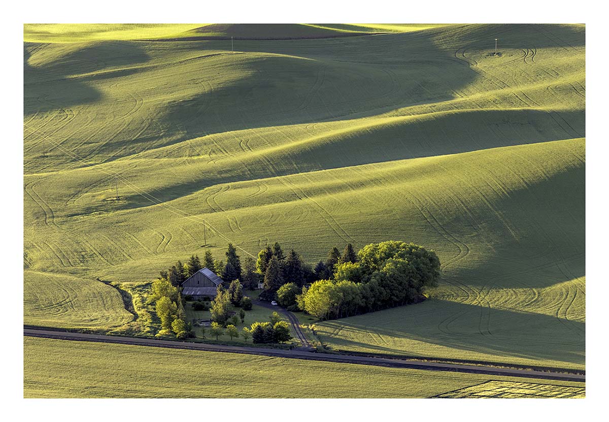BCJ Spring in the Palouse