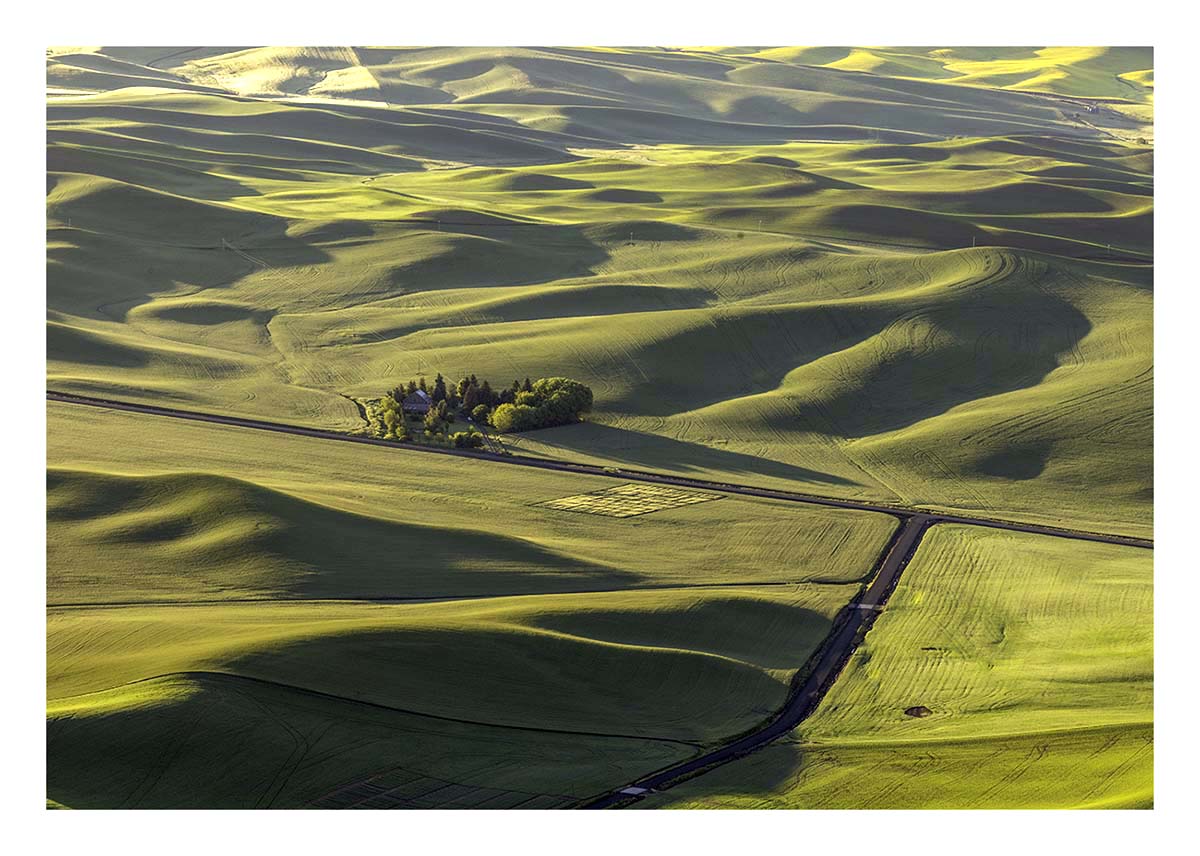 BCJ Spring in the Palouse