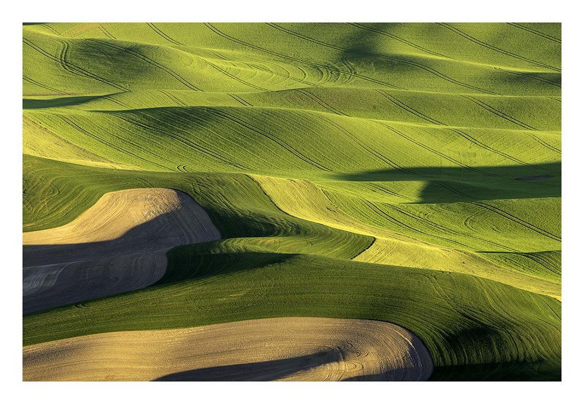 BCJ Spring in the Palouse