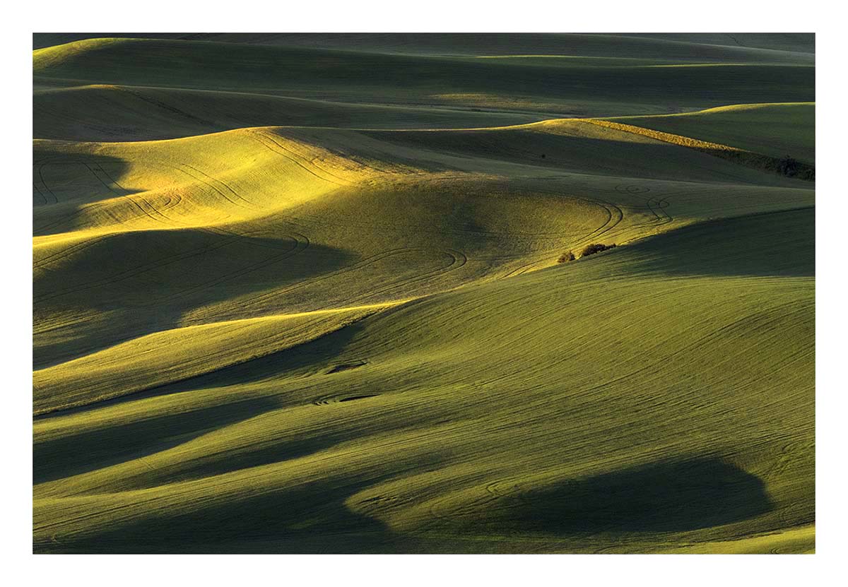 BCJ Spring in the Palouse