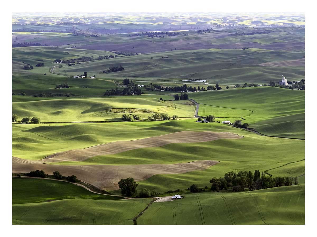 BCJ Spring in the Palouse