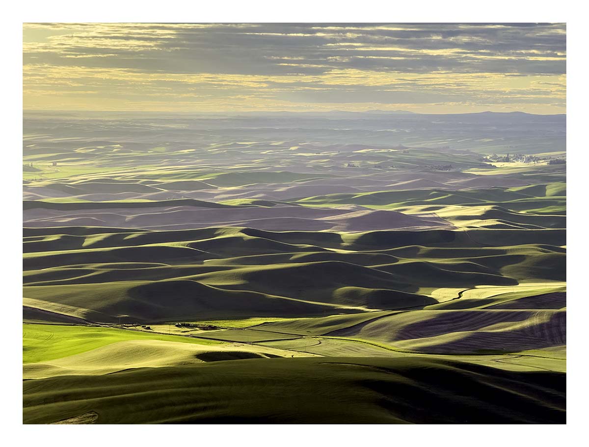 BCJ Spring in the Palouse