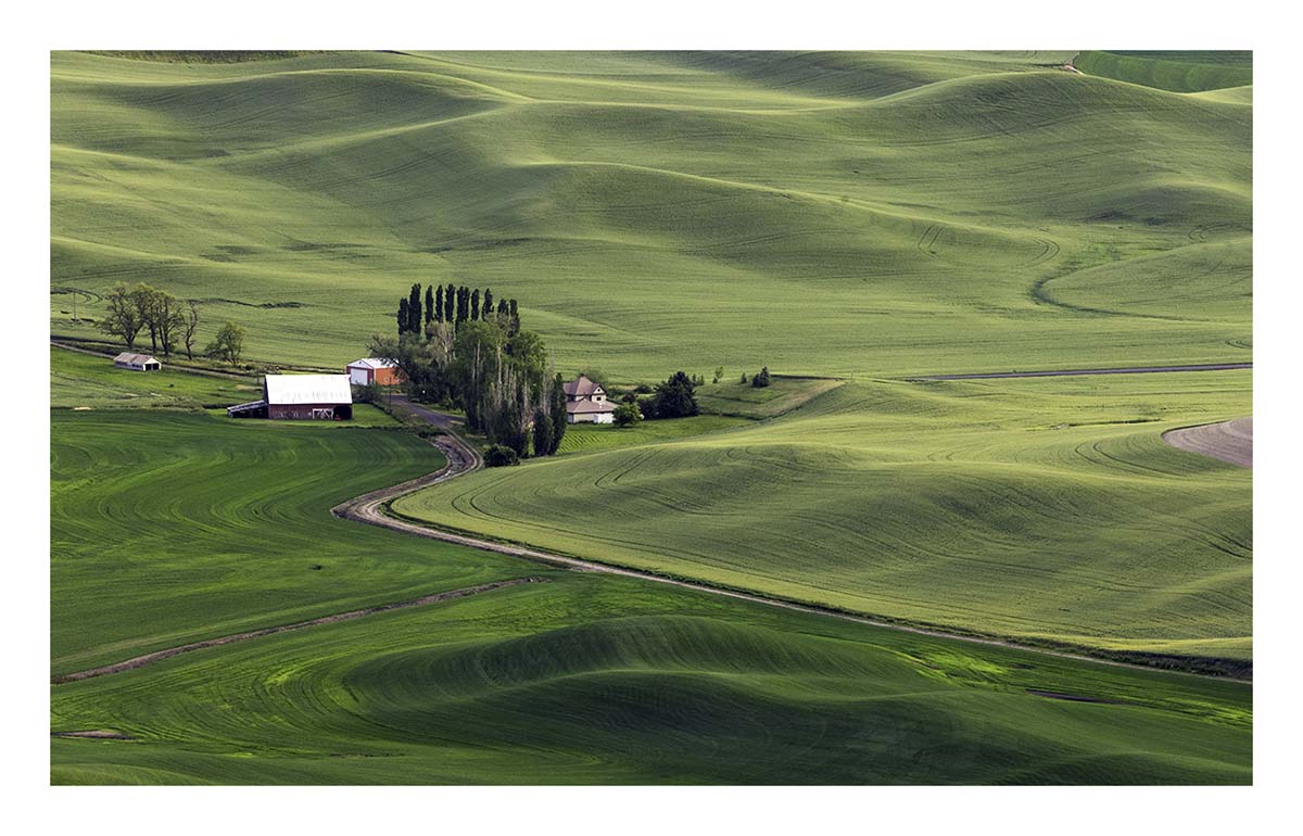 BCJ Spring in the Palouse