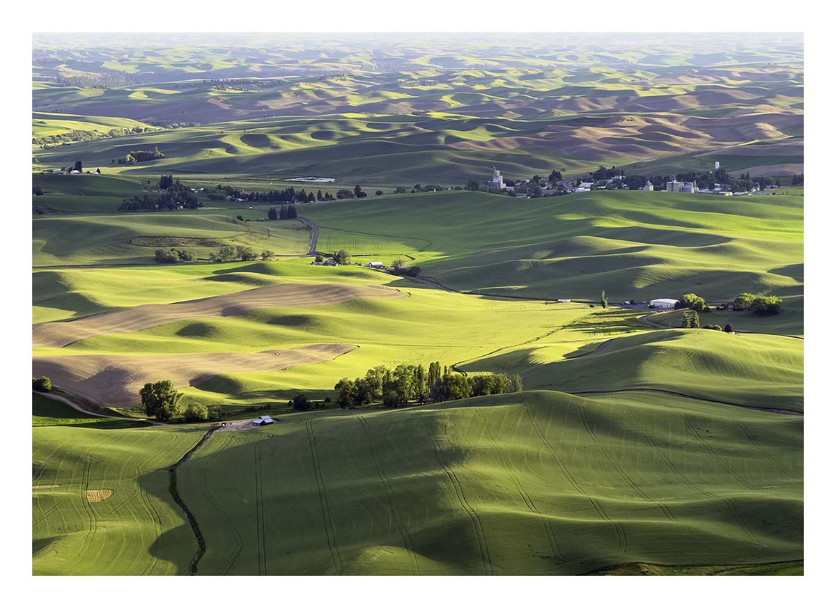 BCJ Spring in the Palouse