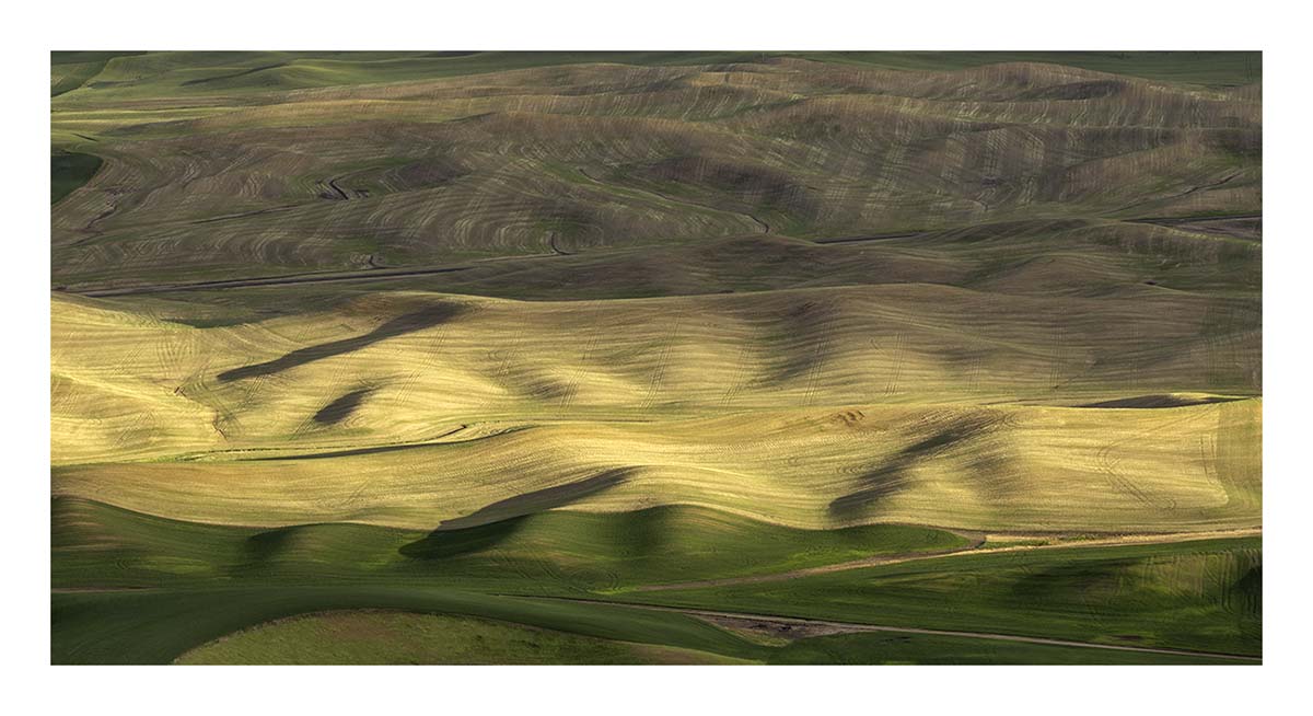 BCJ Spring in the Palouse